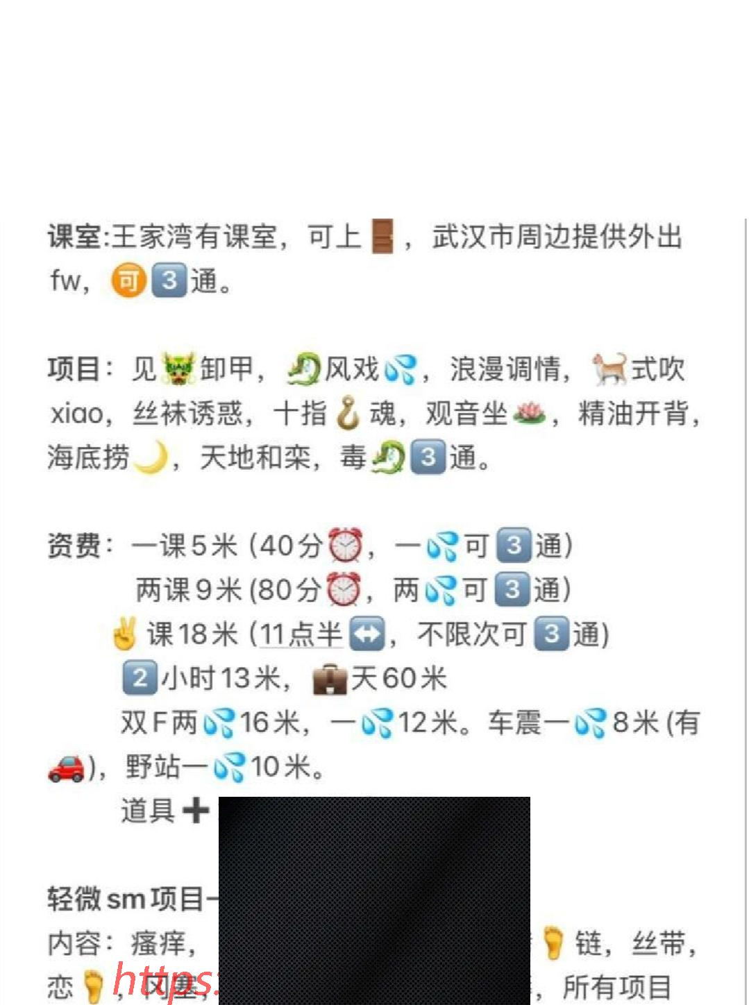 （武汉市）汉阳三通曼曼-临渊资源